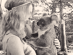koala, cute, animal, mignon, taylor swift, noir et blanc, calin, hug