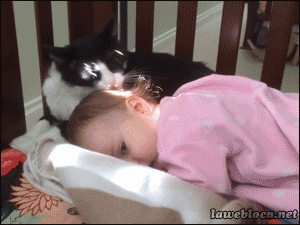 bebe qui fait un calin au chat