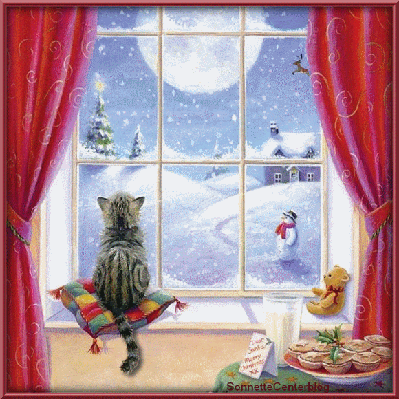 joyeux noel, merry christmas, chat, fenetre, cat looking by a window