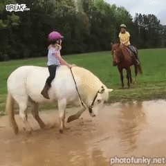 cheval qui se roule dans la boue, poney, enfant