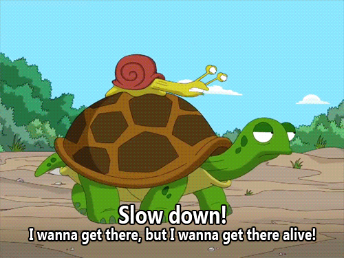 escargot et tortue, snail and turtle, ralentis je veux arriver vivant