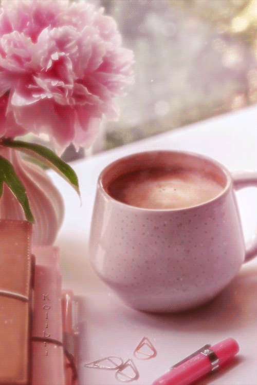 morning, matin, café, fleur rose, pivoine