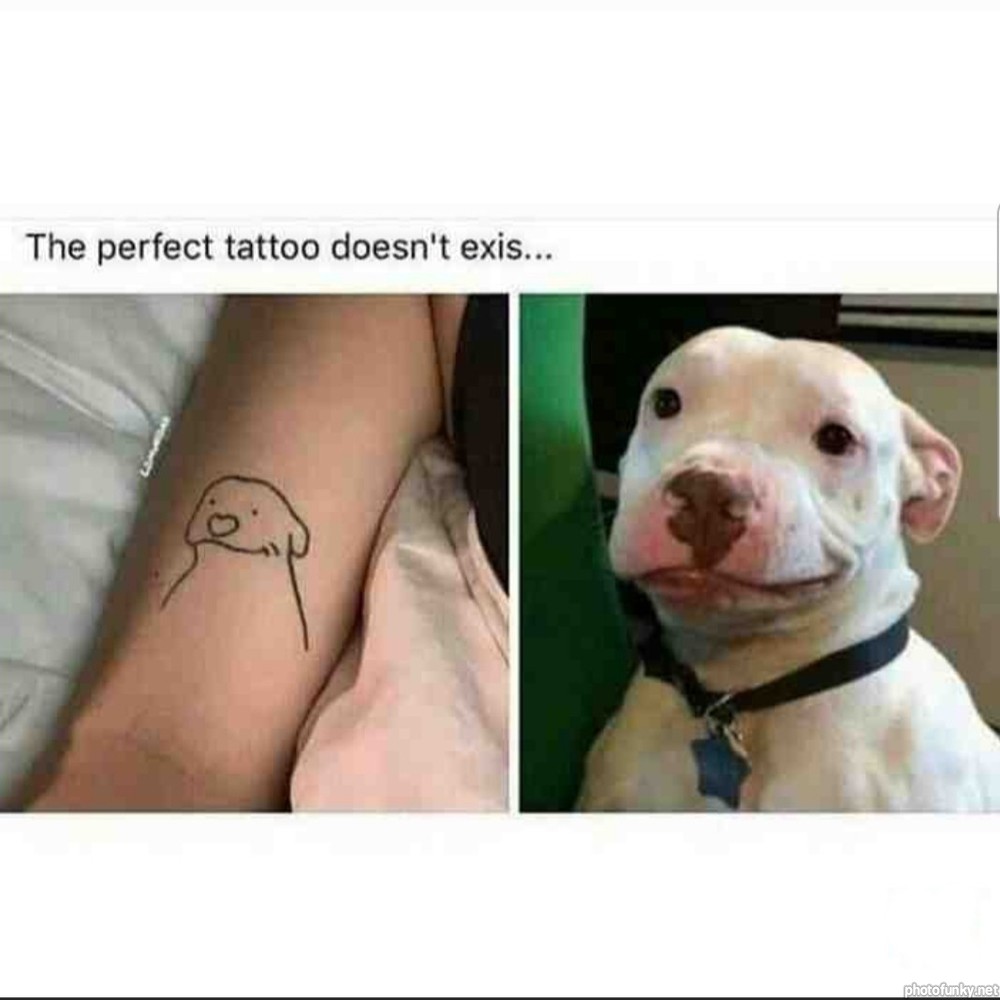 the perfect tatoo doesn't exist