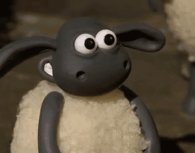 shaun le mouton, bebe mouton, film, yes, shaun the sheep, oui, good