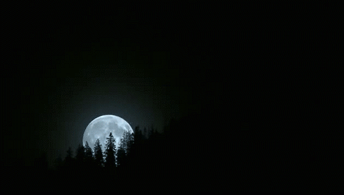 lune, nuit, ciel, time lapse