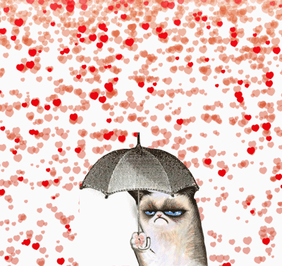 valentines day, love, saint valentin, amour, grumpy cat, pluie de coeurs, rain of hearts