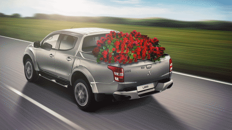 pick-up, voiture chargee de roses