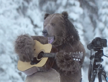 ours qui joue de la guitare, neige, hiver