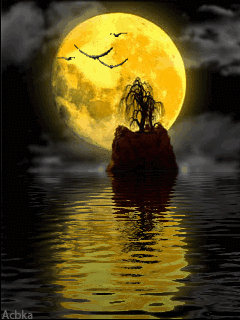 full moon, pleine lune, sea, mer, lake, lac