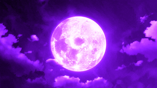 pleine lune, nuit, ciel violet