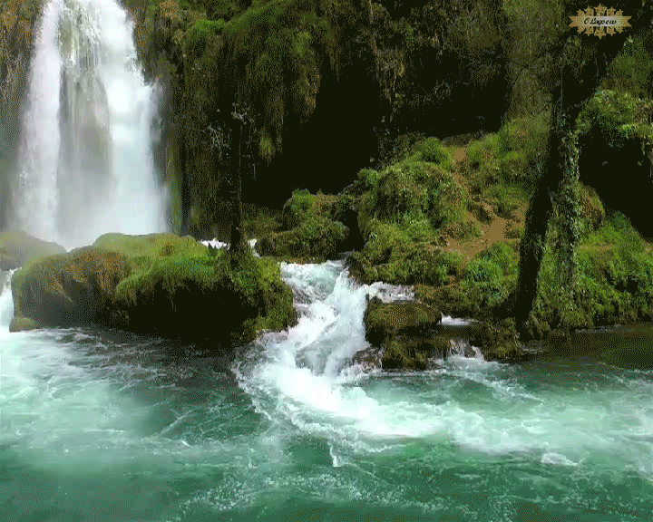 nature, riviere, zen, cascade, waterfall, foret, river, woods