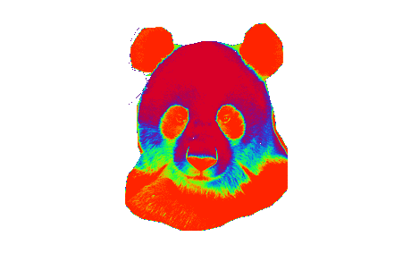 panda multicolore, psychedelique
