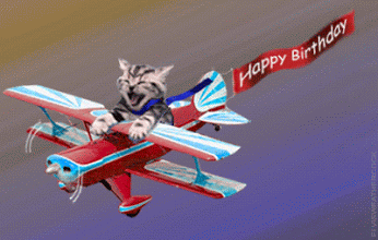kitten, plane, avion, chaton, happy birthday