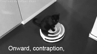 chat aspirateur drole lol funny cat animal Image, animated GIF