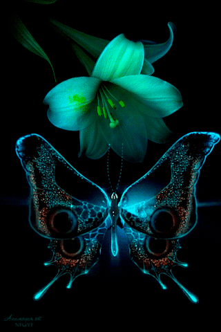 papillon lumineux