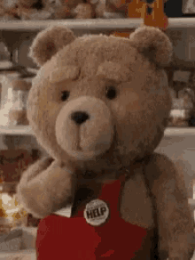 love, amour, cute, mignon, ted