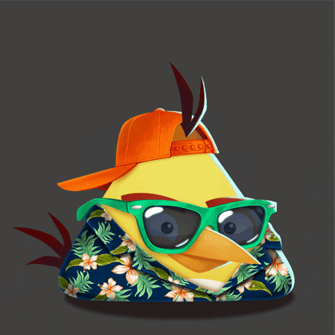 chuck, angry birds, hawai, lunettes de soleil, casquette, jeux vidéo