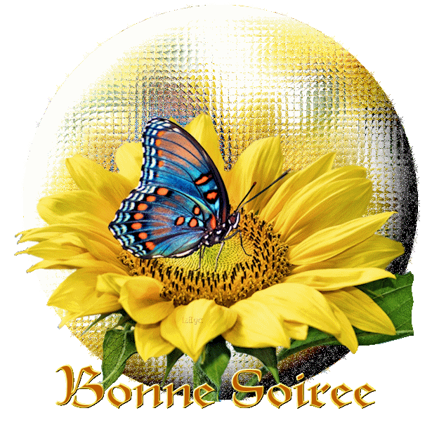 papillon bonne soiree Image, GIF animé