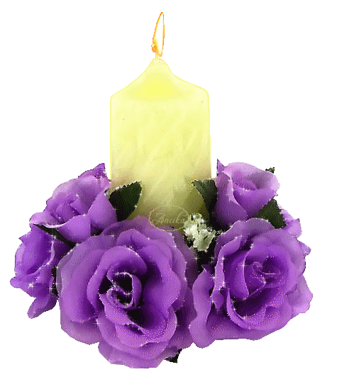 bougie, roses violettes, candle