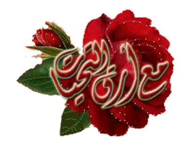 rose rouge, arabe