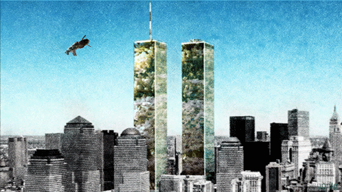 colibri, oiseau, twin towers, wtc, world trade center, building, new york