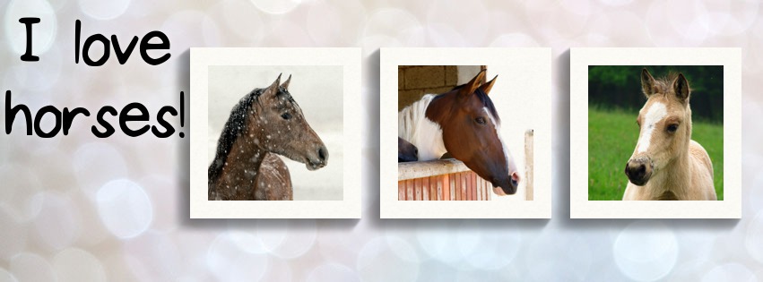 i love horses, aimer le chval, jaime les chevaux, j aime, couverture facebook, cover