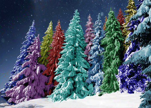 sapins, multicolores, neige, hiver, montagne