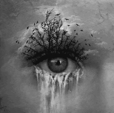 oeil, arbre, oiseaux, triste, tristesse, larmes, pleurer