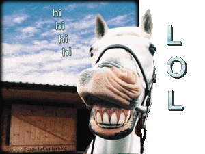 rire, lol, cheval