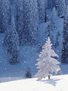 hiver, neige, winter, snow, arbre, foret