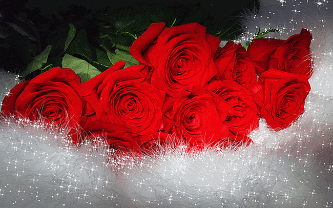 roses rouges, fleurs, neige scintillante