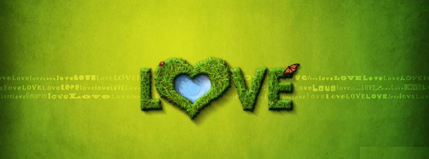 amour, love, herbe, nature, papillon, butterfly, couverture facebook, facebook cover
