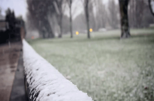 hiver, neige, winter, snow, cinemagraph