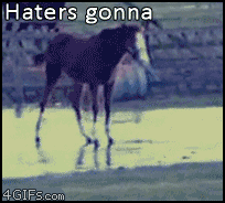 cheval, animal, fail, haters gonna hate, glisser