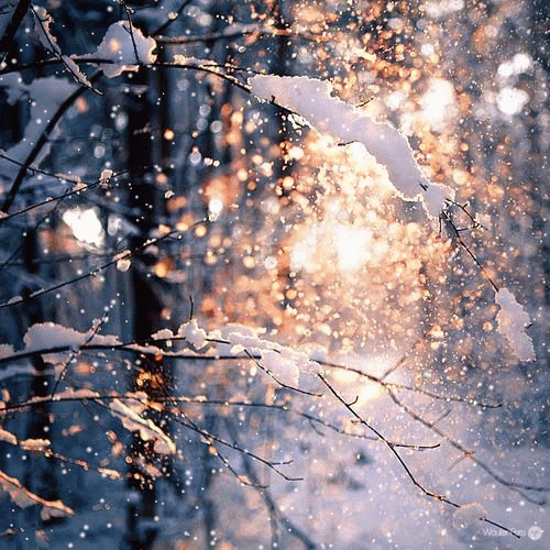 neige qui tombe, flocons, hiver, arbre