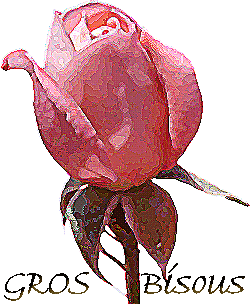 rose, gros bisous