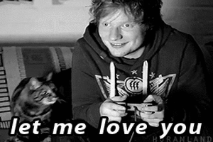 ed sheeran, let me love you, chat, calin