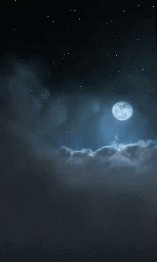noite, vol de nuit, ciel, etoile, pleine lune
