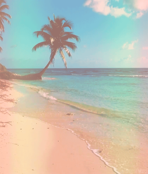 plage paradisiaque, lagon, eau, mer, ocean