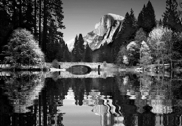 paysage, noir et blanc, reflet sur l eau