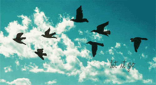 oiseaux dans le ciel, nuages, let it go, birds in the sky, cloud
