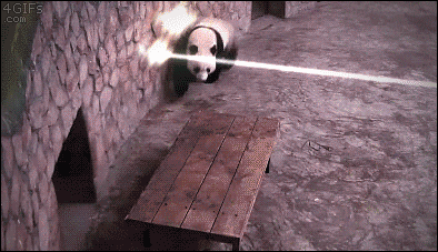 kung fu panda, effets speciaux