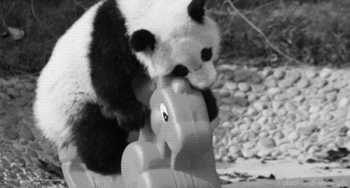 panda, jouer, cheval a bascule, animal mignon, noir et blanc