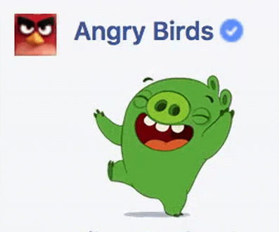 conchon vert, angry birds, happy