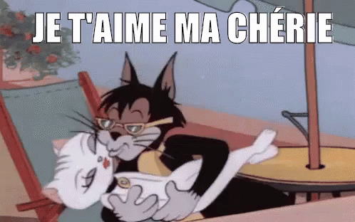 je t'aime ma cherie, chat